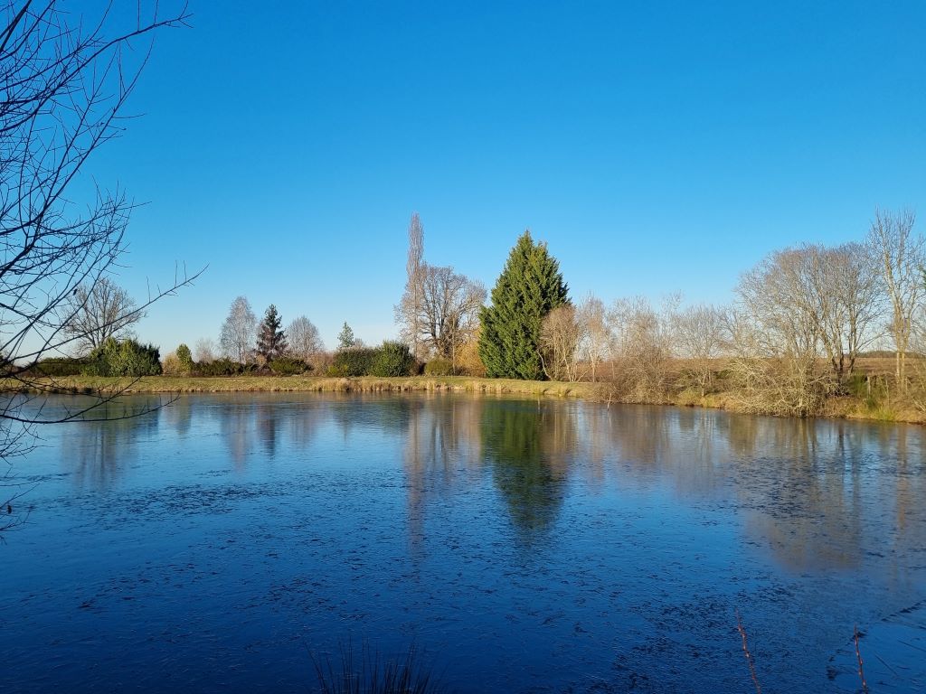 Les bois d'Evaux Évaux-les-Bains Nouvelle-Aquitaine