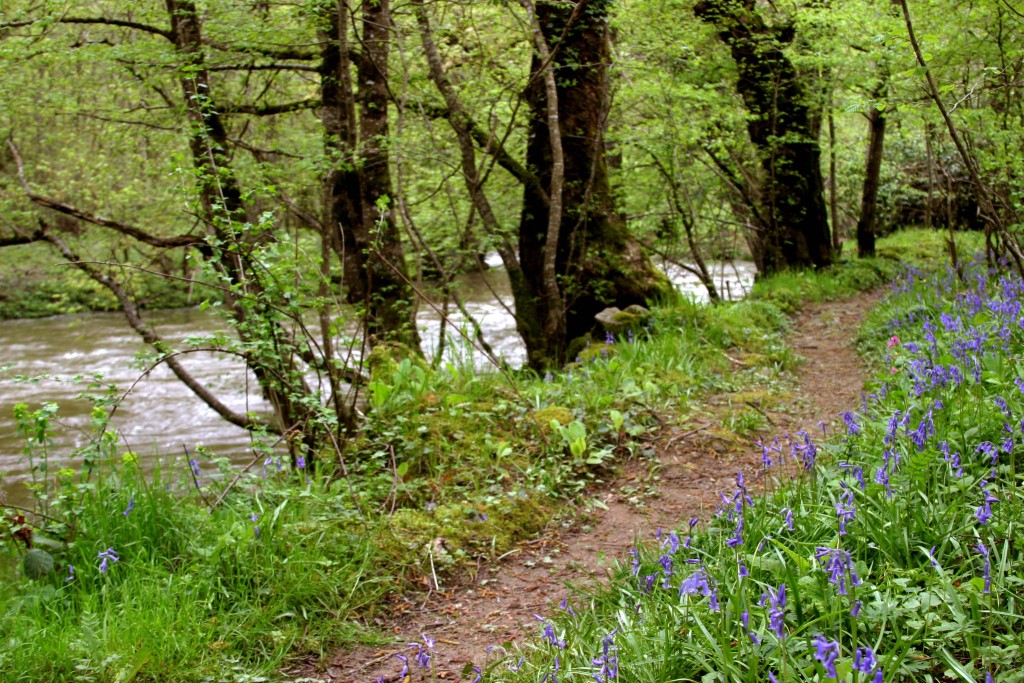 Les gorges de la Voueize Chambon-sur-Voueize Nouvelle-Aquitaine