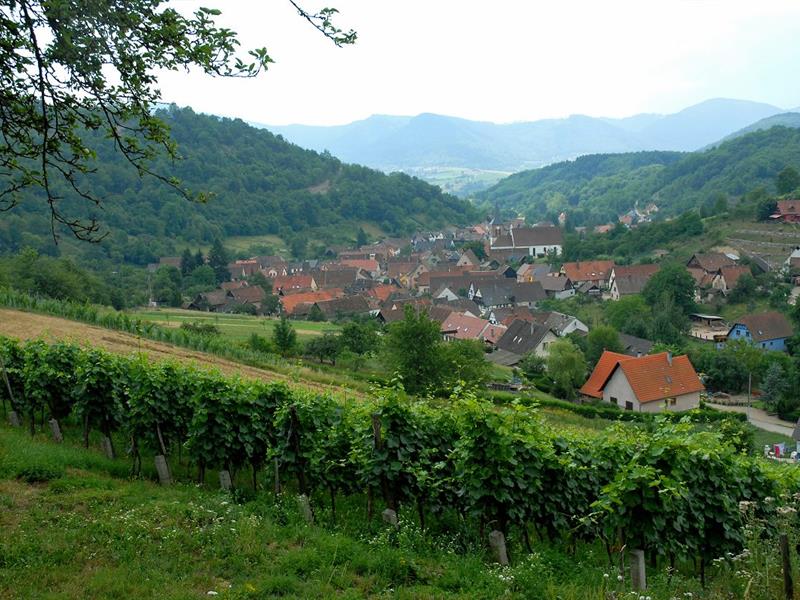 Randonnée Circuit Albéville et Ungersberg Albé Grand Est