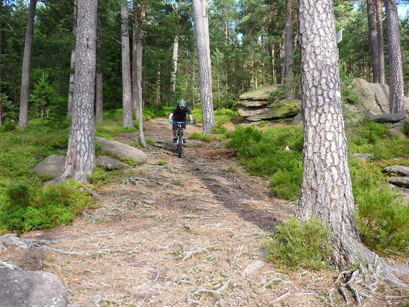 Circuit VTT du Frankenbourg et des roches Villé Grand Est