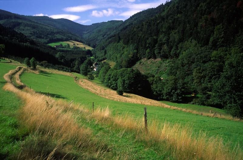 N°07 Le Tour du Rauenthal Sainte-Marie-aux-Mines Grand Est