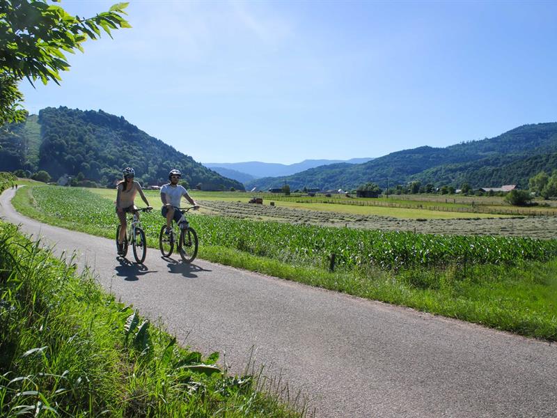 Parcours Cyclo ou VTT M0 Circuit de la Fecht Munster Grand Est