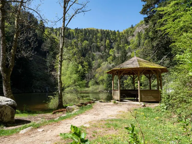 Parcours Trail Le Gaschney Entre crêtes et lacs Muhlbach-sur-Munster Grand Est