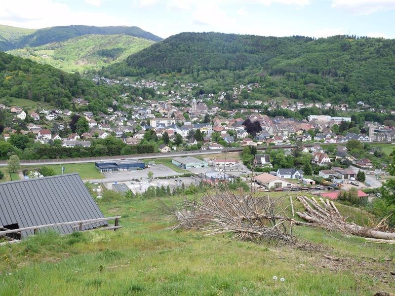 Sentier du Hirschenbach Saint-Amarin Grand Est