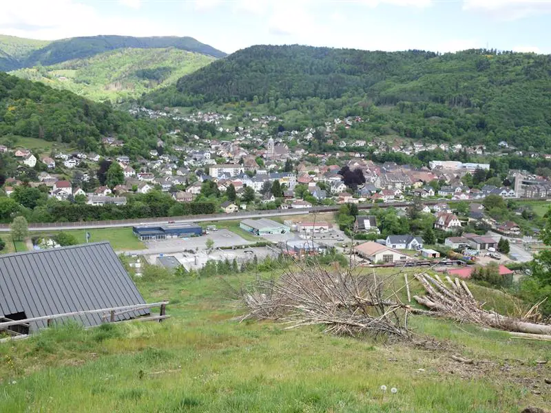 Sentier du Hirschenbach Saint-Amarin Grand Est