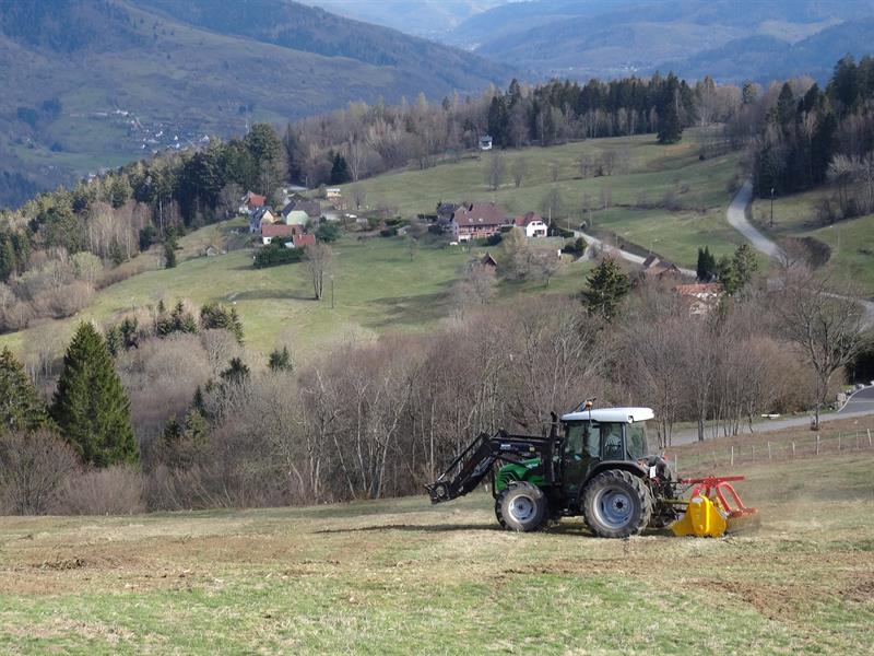 Trail Les balcons du Frenz Kruth Grand Est