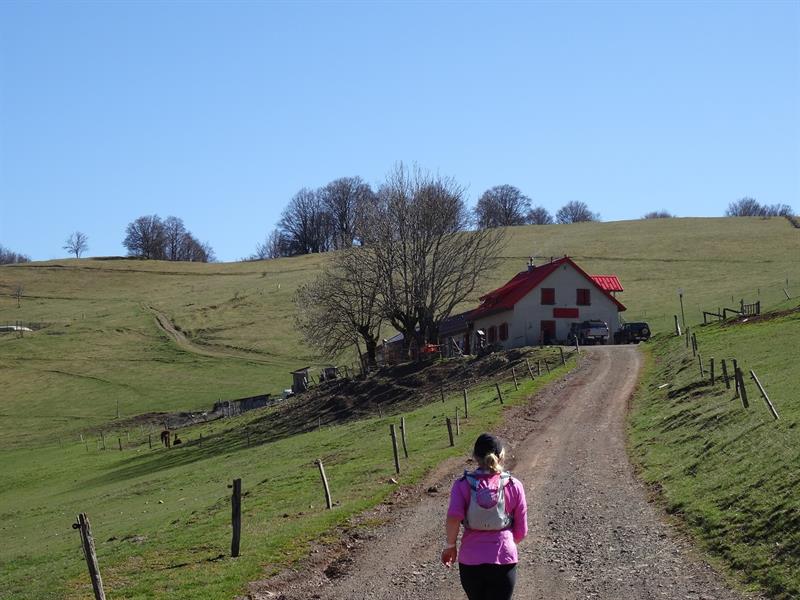 Trail Mitzach-Belacker Saint-Amarin Grand Est