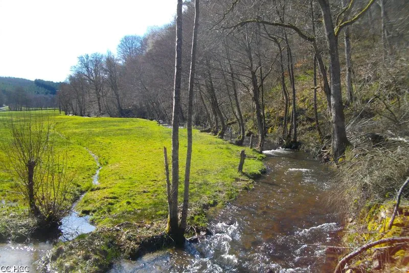 Au fil de la Dejoune (raccourci de 15 km) Poussanges Nouvelle-Aquitaine