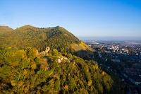 Randonnée le Pastetenplatz et le chêne Wotan Thann Grand Est