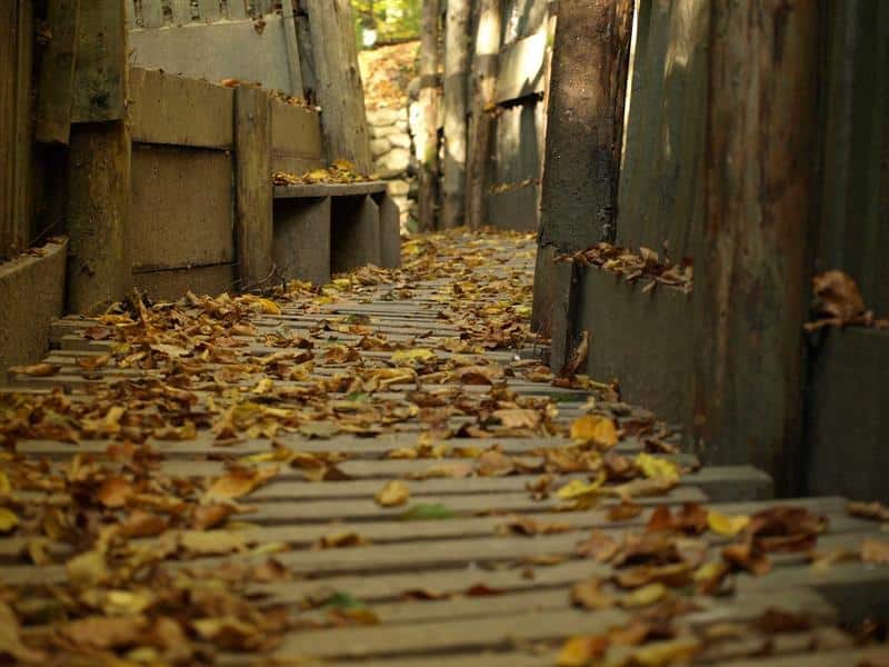 Circuit du Km 0 Pfetterhouse-Moos-Bonfol Pfetterhouse Grand Est