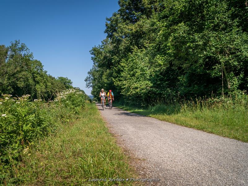 A travers deux Pays De Neuf-Brisach à Breisach Neuf-Brisach Grand Est