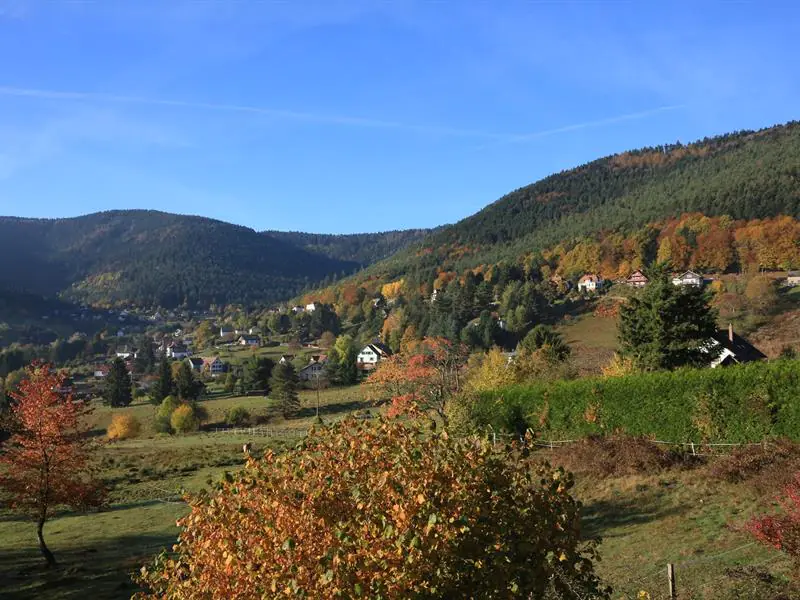 Circuit du Panorama Sud marche nordique Wangenbourg-Engenthal Grand Est