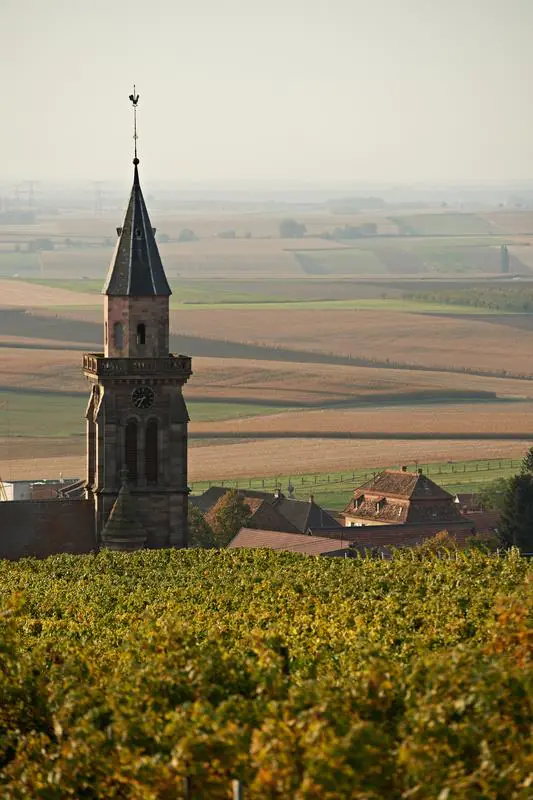 Circuit de la Couronne d'Or 11 km Marlenheim Grand Est