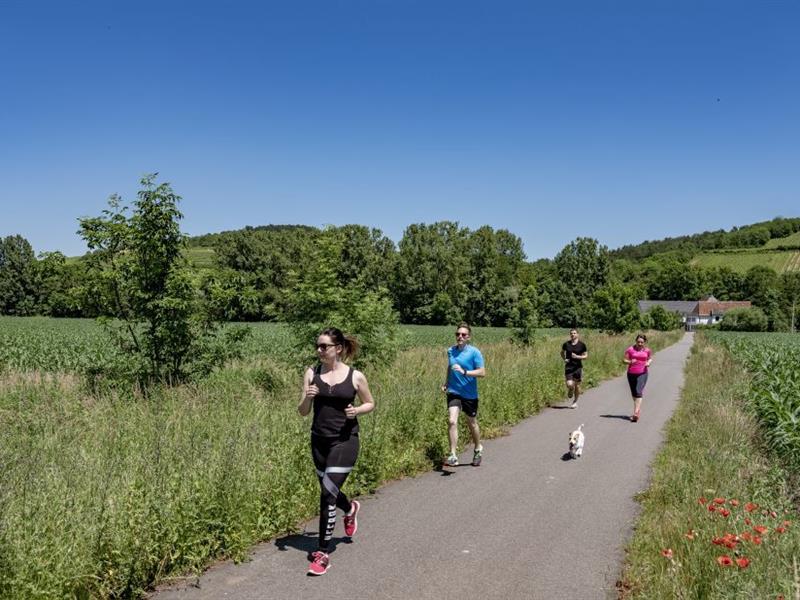 Piste cyclable Nordheim / Kirchheim Nordheim Grand Est