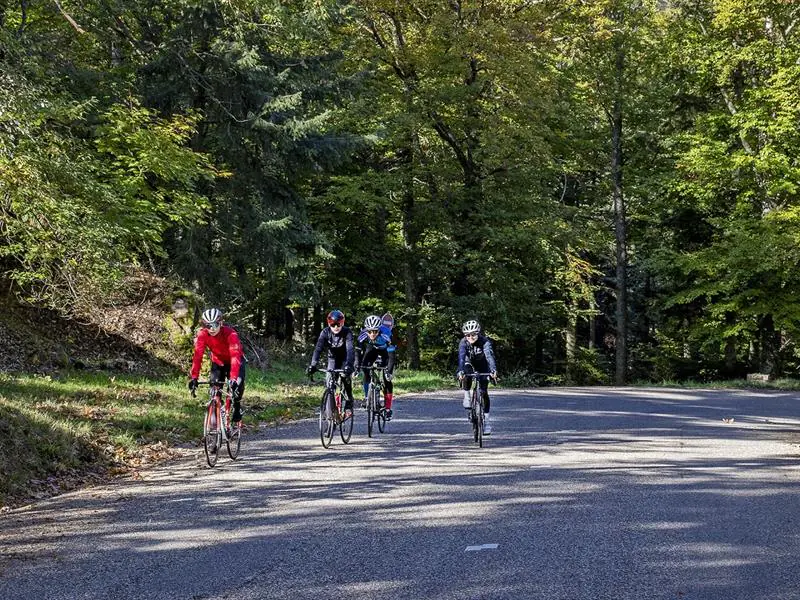 Circuit vélo Entre vignoble et montagne Rosheim Grand Est