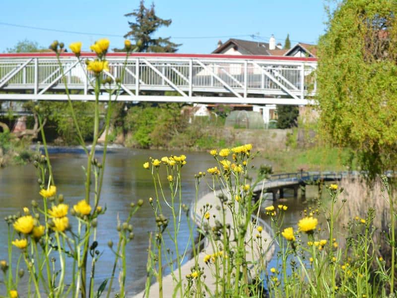 Circuit découverte Entre prairies et vergers Weyersheim Grand Est
