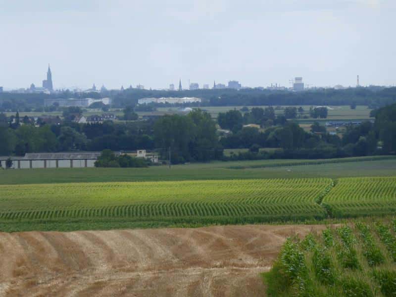 Circuit découverte VTT Weitbruch Grand Est