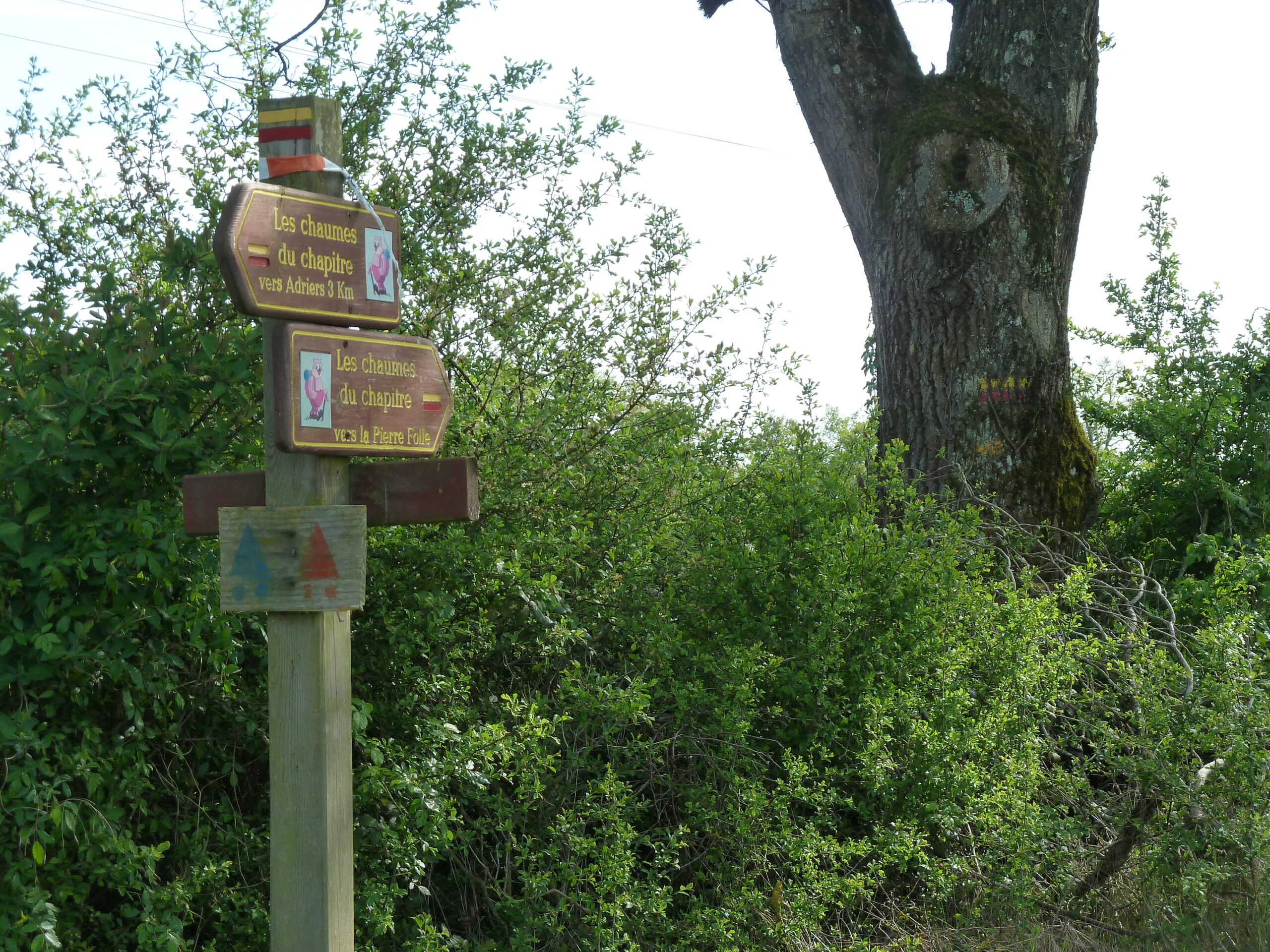 Les Chaumes Du Chapitre / Boucle 11 Plaisance Nouvelle-Aquitaine