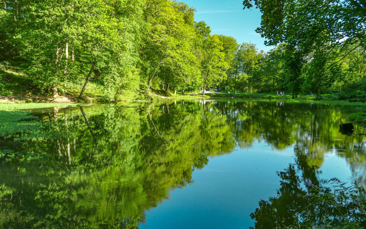 VTT 1 Les Bois de Carrasquet à Sargaillouse Coarraze Nouvelle-Aquitaine