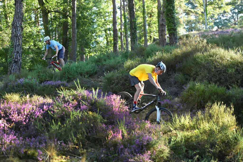 Circuit VTT n°39 La Chapelle-Baloue Nouvelle-Aquitaine