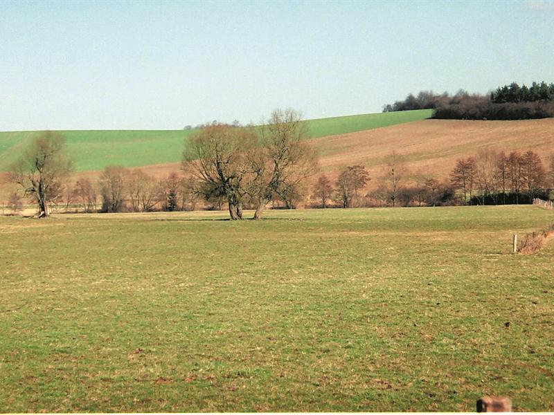 Circuit pédestre sentier des rappes Croismare Grand Est