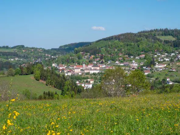 BALADE POUSSETTE LE COTEAU DU VILLAGE Le Tholy Grand Est