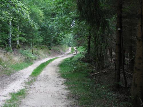 Circuit de la Feigne orientale Deyvillers Grand Est