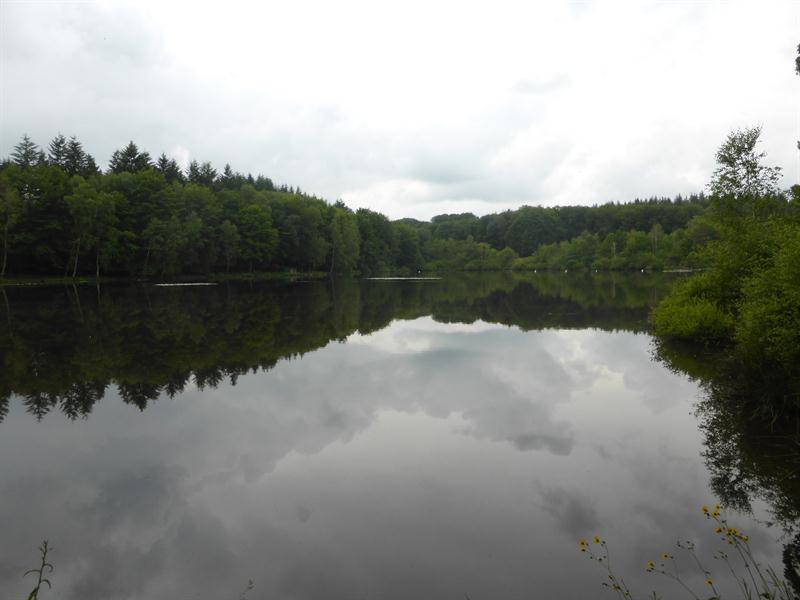 CIRCUIT DE BERTRAMENIL ETANG DU BULT Épinal Grand Est