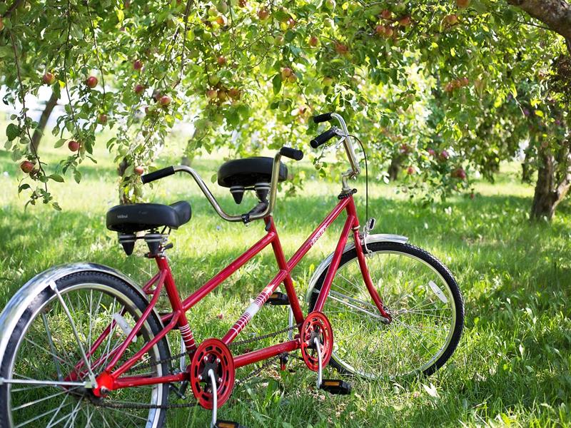 ITINÉRAIRE CYCLOTOURISTIQUE ITINÉRAIRE PATRIMOINE N15 LE VILLAGE AUTHENTIQUE Fontenoy-le-Château Grand Est