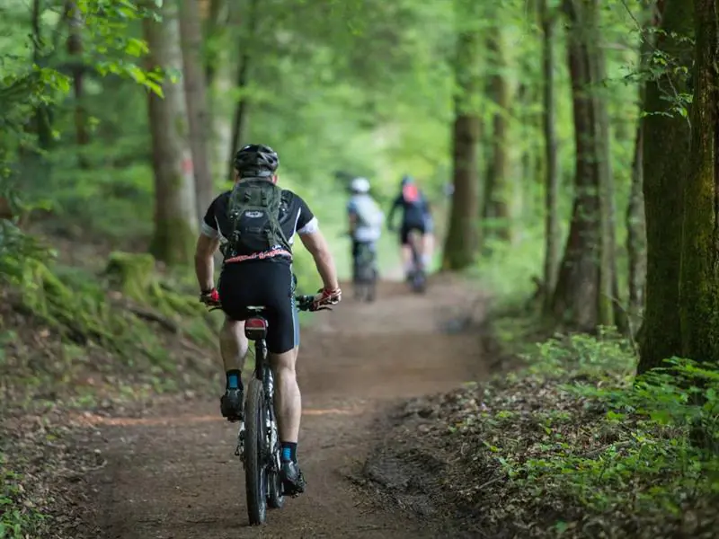 CIRCUIT VTT N° 96 LA PIERRE TORELLE Épinal Grand Est