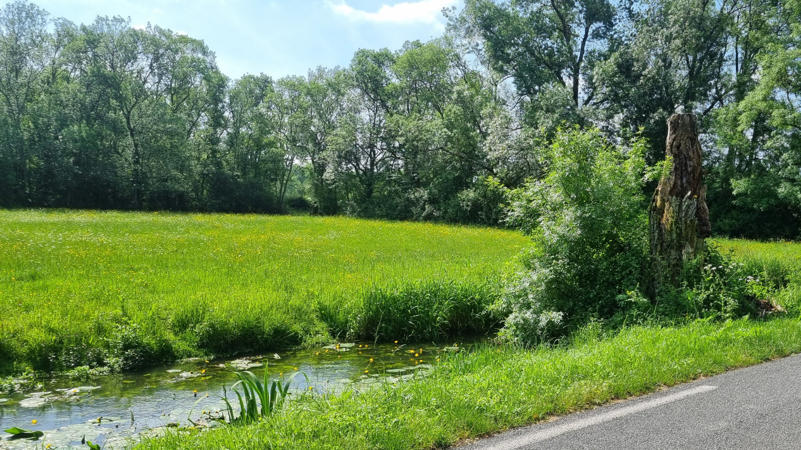 Boucle de la Bugonne Saint-Médard-d'Eyrans Nouvelle-Aquitaine