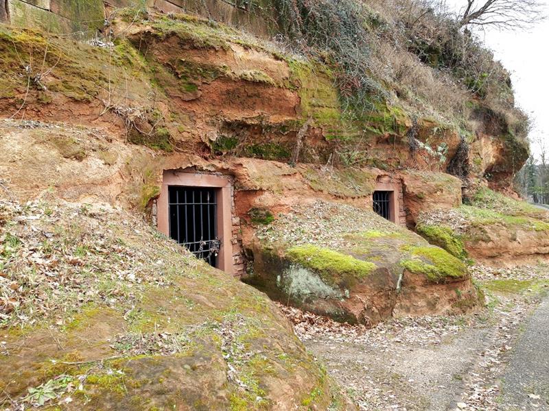 Circuit de la grande Saule Falck Grand Est