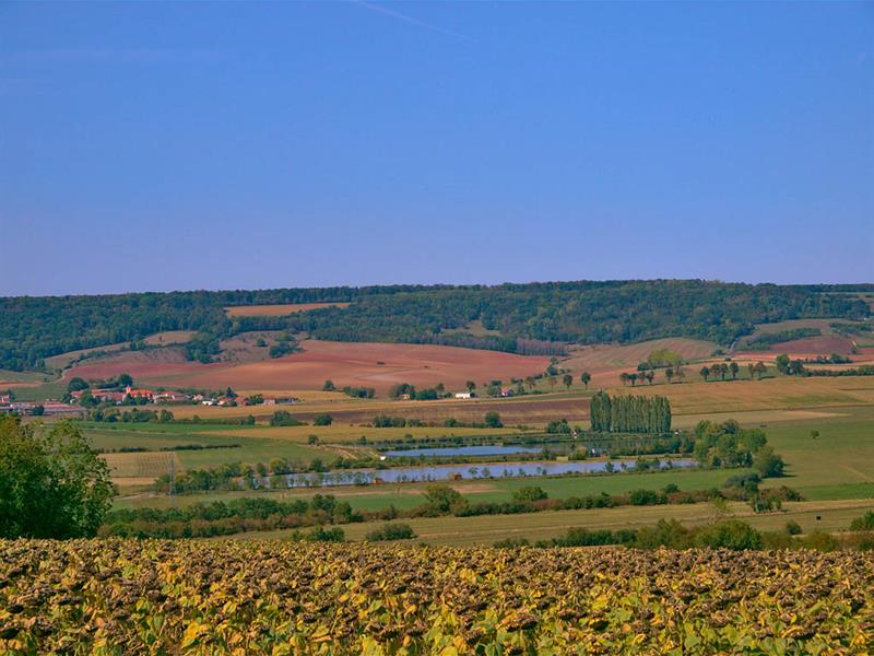 ENTRE LES DEUX SEILLES Vic-sur-Seille Grand Est