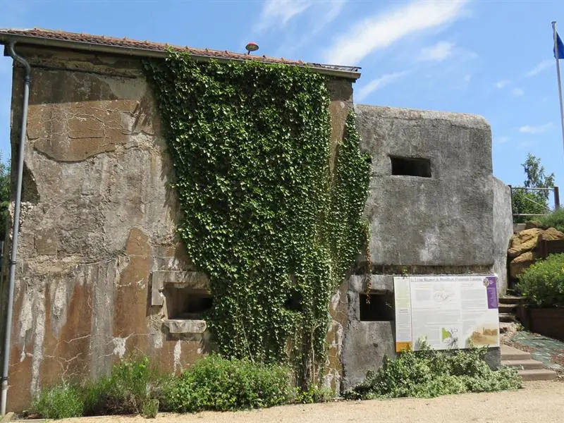 ROUTE DE LA LIGNE MAGINOT AQUATIQUE Sarralbe Grand Est