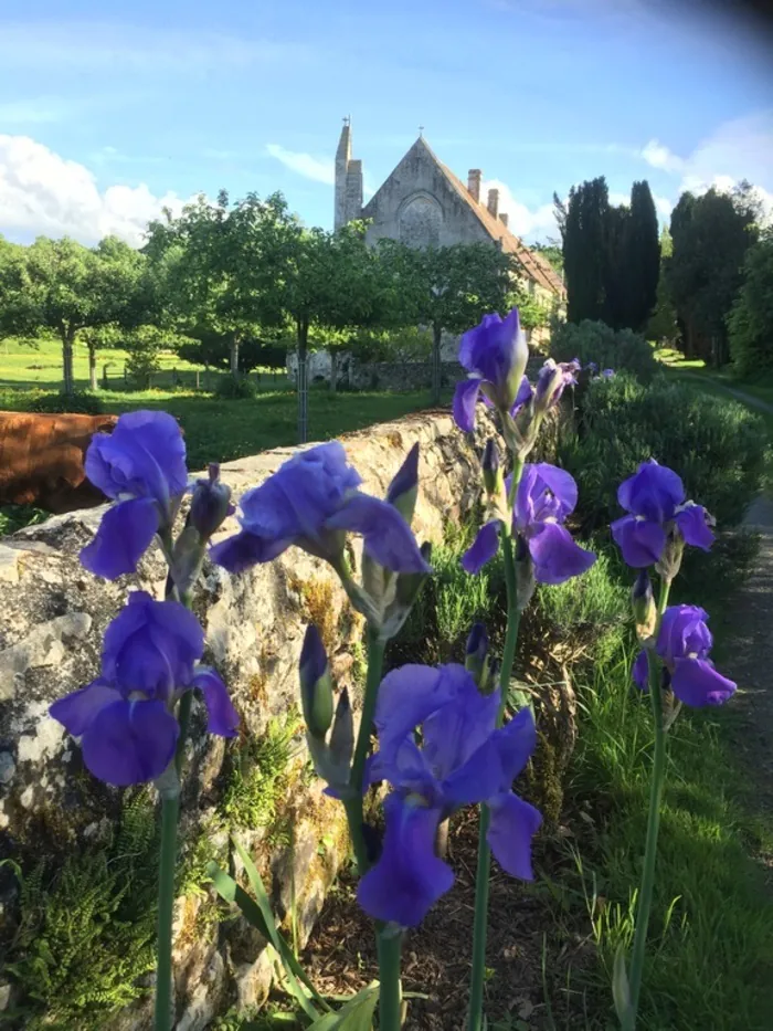 Visite guidée de l'abbaye Saint-André en Gouffern Abbaye Saint-André en Gouffern La Hoguette