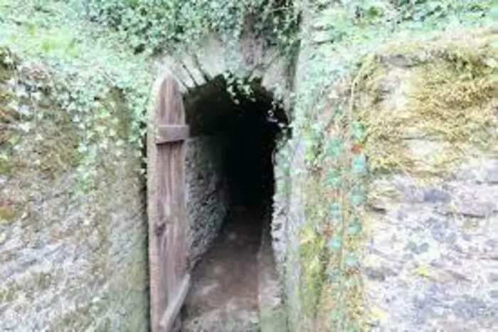 Levez les yeux ! Découverte insolite d'un souterrain médiéval Abbaye Saint-Vigor Cerisy-la-Forêt