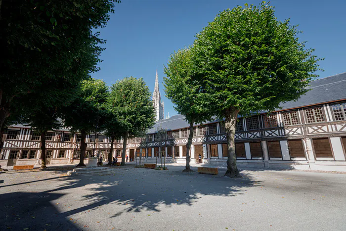 Visite guidée streamée de l'aître Aître Saint-Maclou Rouen