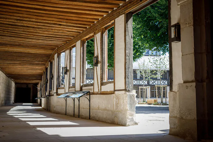 Spectacle : visite théâtralisée "voyage au centre de l’Aître Saint Maclou" Aître Saint-Maclou Rouen