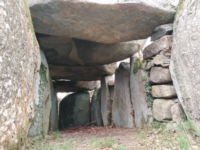 Visite guidée d'un mégalithe néolithique Allée couverte de la Table au Diable Passais