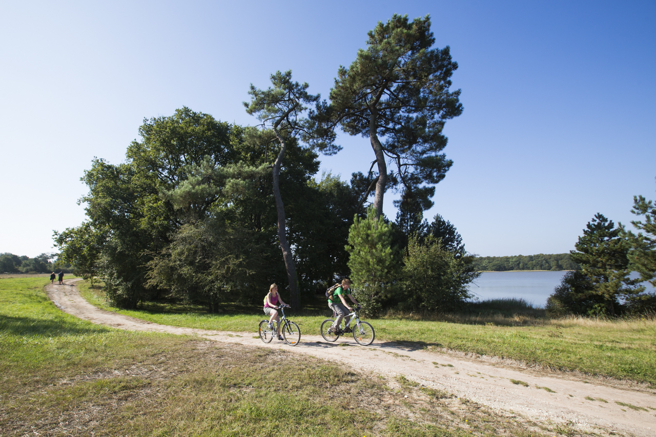 Circuit VTT De Bellebouche à la Maison du Parc Saint-Michel-en-Brenne Centre-Val de Loire