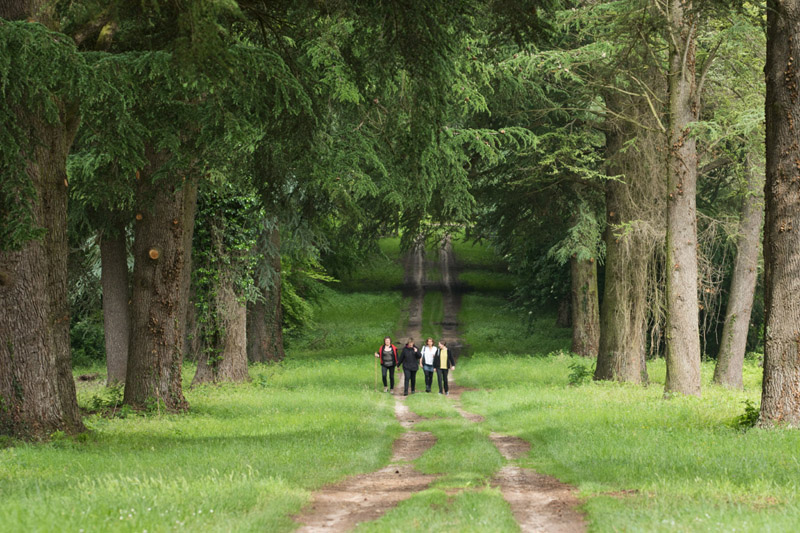 Balade à pied n°21 Du parc à la forêt Azay-le-Ferron Centre-Val de Loire