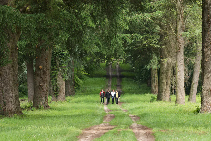 Balade à pied n°21 Du parc à la forêt Azay-le-Ferron Centre-Val de Loire