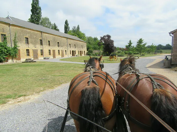 Balade en calèche au sein d'un ancien relais de poste Ancien relais de poste aux chevaux Launois-sur-Vence