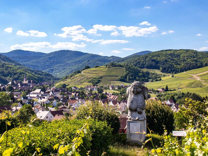 BL214 Klevener et Pain d’Epices Goxwiller Grand Est BL214 Klevener et Pain d’Epices Goxwiller Grand Est