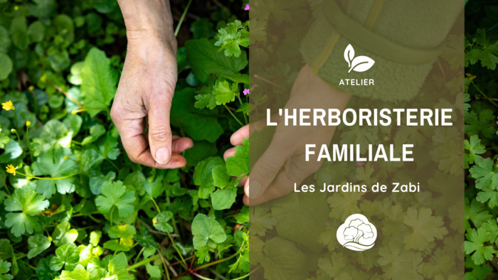 Herboristerie familiale - atelier au fil des saisons Angers