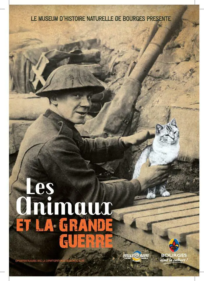 Les animaux et la Grande Guerre Availles-Limouzine Availles-Limouzine