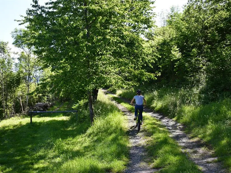 Les balcons de Mitzach VTT FFC n°20 Saint-Amarin Grand Est