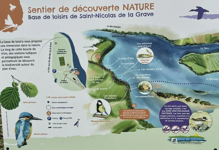 Immersion dans la nature à travers un sentier découverte Base de loisir du Tarn et de la Garonne Saint-Nicolas-de-la-Grave