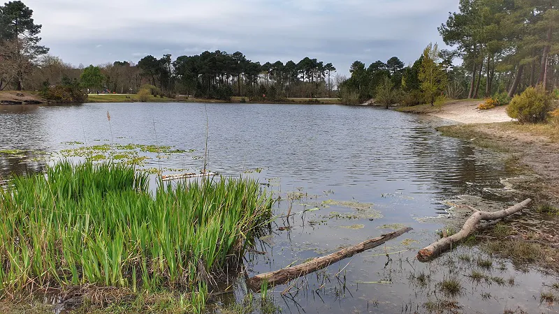 Parcours des Graves Parcours Rouge Pessac Nouvelle-Aquitaine