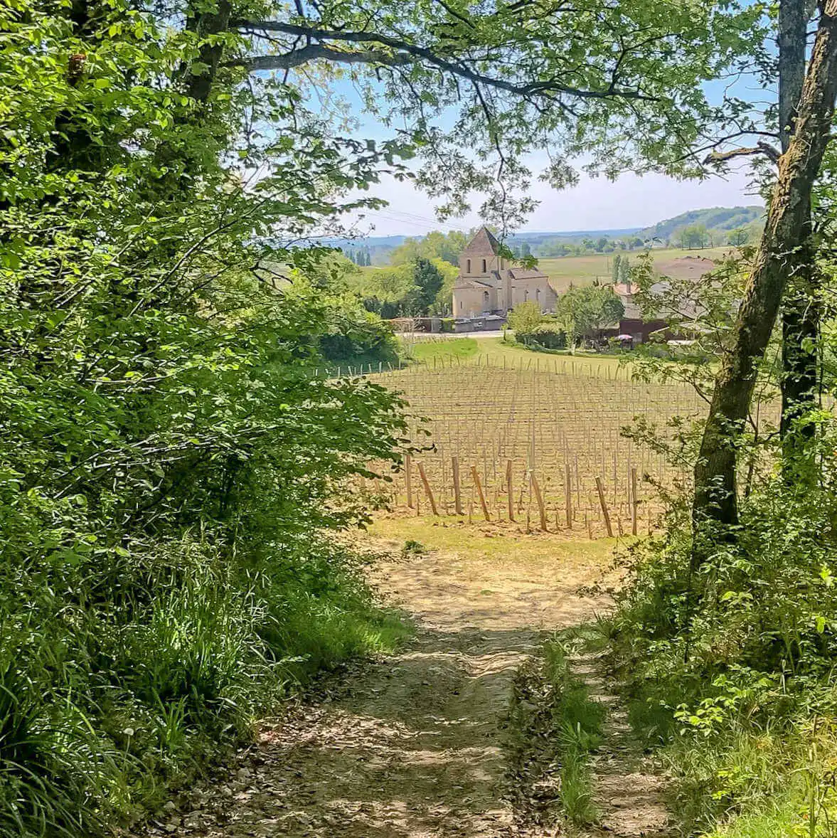 Boucle des coteaux du vignoble Castillonnais Sainte-Colombe Nouvelle-Aquitaine